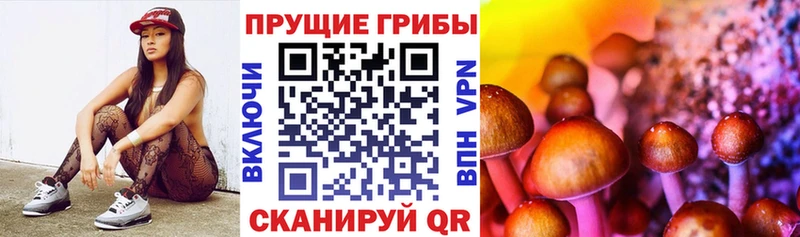 Псилоцибиновые грибы мицелий  наркота  Ишимбай 